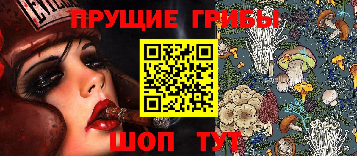 Галлюциногенные грибы прущие грибы Ейск