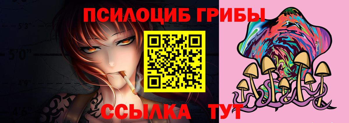 Галлюциногенные грибы Psilocybine cubensis  Псилоцибиновые грибы Psilocybine cubensis  Ейск  Вход с VPN 